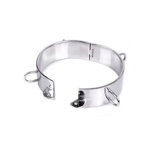 Edelstahl Halsband mit Schloss und D-Ringen