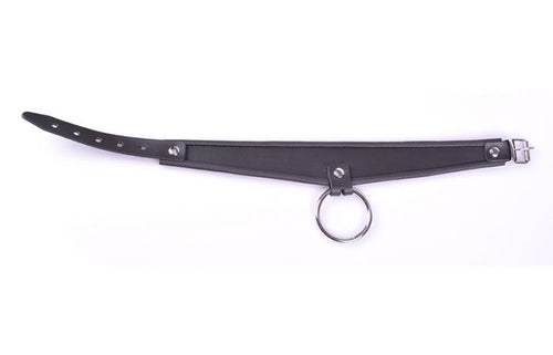 Leder Halsband