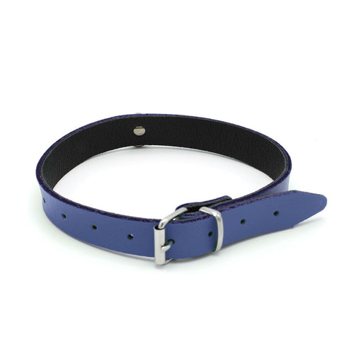 Leder Halsband Blau