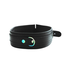 Leather collar with leash