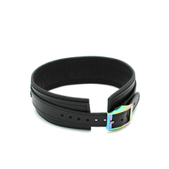 Leather collar with leash