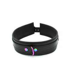 Leather collar with leash