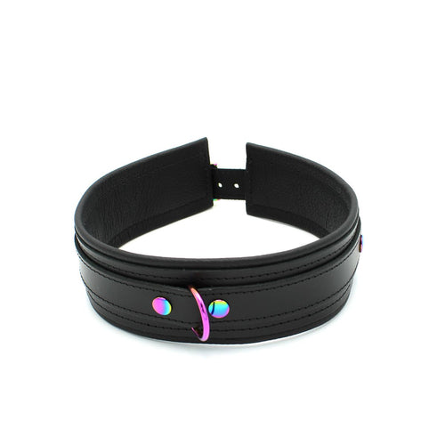 Leather collar with leash