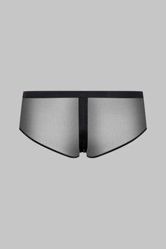 Transparent panty with zipper