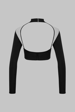 Transparent top long sleeve