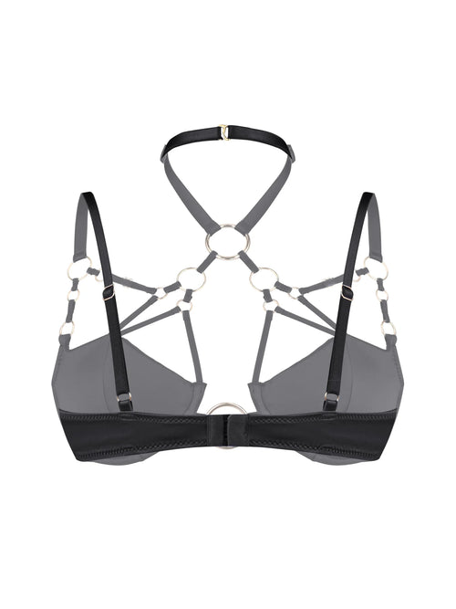 Harness BH