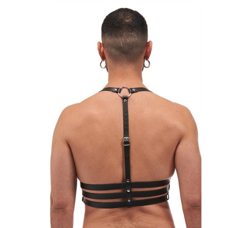 Leder Harness