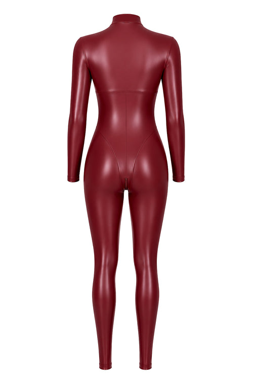 Wetlook Catsuit