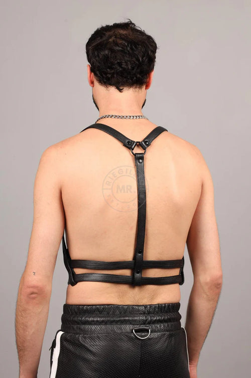 Echtleder Harness