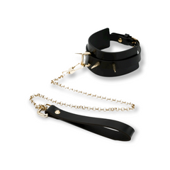 Leder Nieten Halsband mit Leine