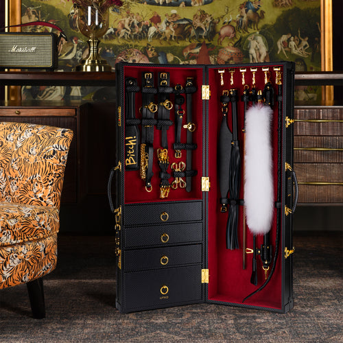 Luxus BDSM-Koffer Set