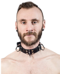 Leather collar with D-rings