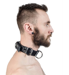 Leather collar with D-rings