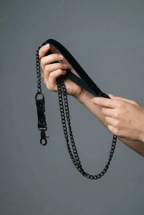 Leather chain leash