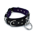 Leather collar with decorative rivets