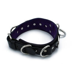 Leather collar with decorative rivets