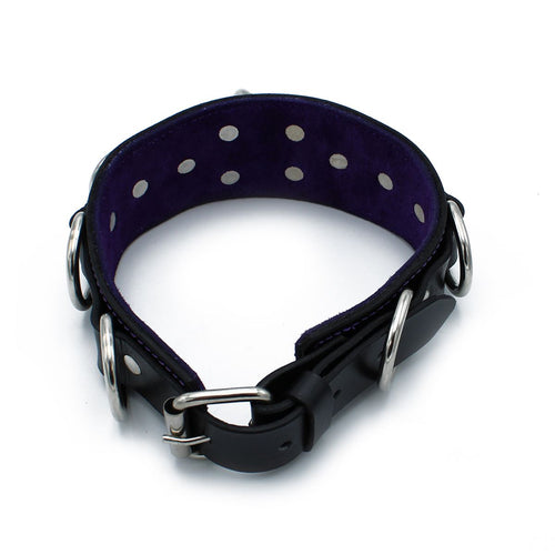 Leather collar with decorative rivets