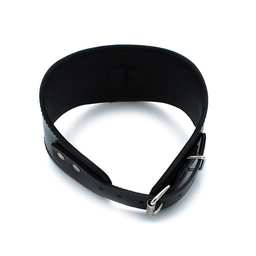 Leder Halsband mit D-Ring