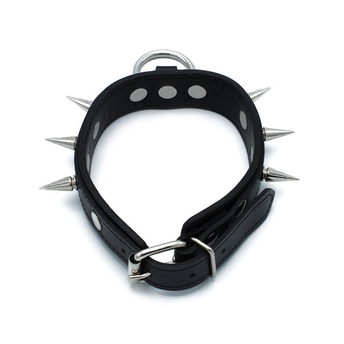 Lederhalsband mit Nieten