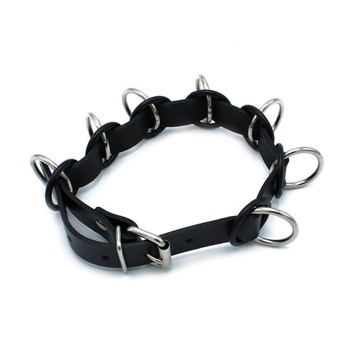 Leather Collar Harness