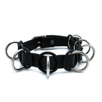 Leather Collar Harness