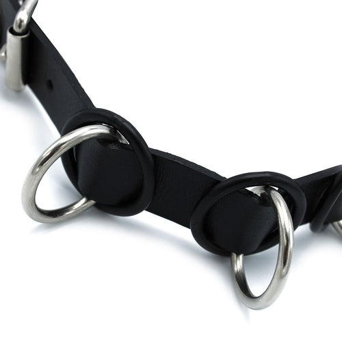 Leather Collar Harness