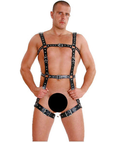 Leather full body harness
