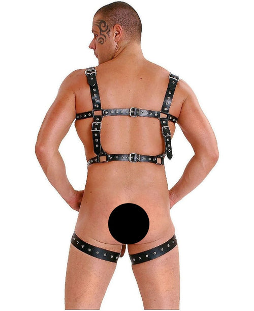 Leather full body harness