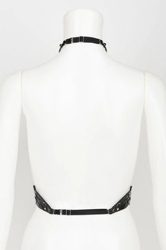 Lackleder Harness