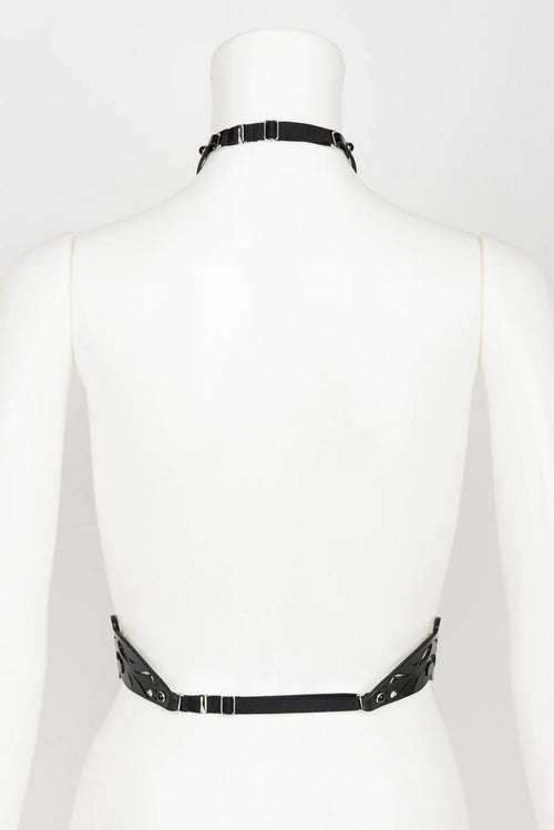 Lackleder Harness