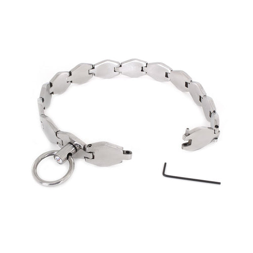 Stainless steel collar with chain links