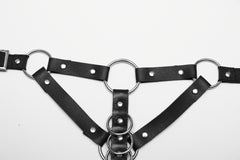 Kunstleder Harness