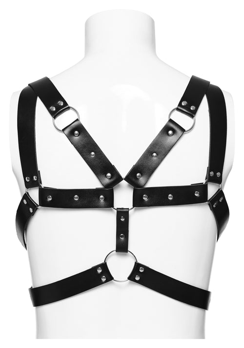 Kunstleder Harness