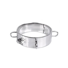 Edelstahl Halsband mit Schloss und D-Ringen