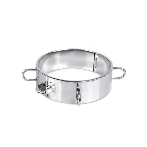 Edelstahl Halsband mit Schloss und D-Ringen
