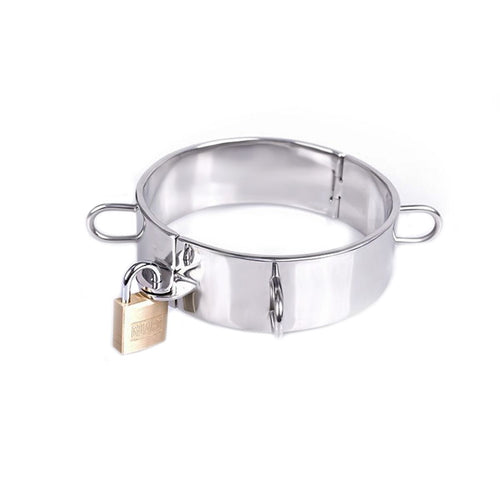 Edelstahl Halsband mit Schloss und D-Ringen