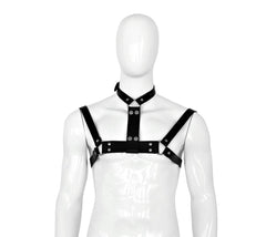 Leather harness