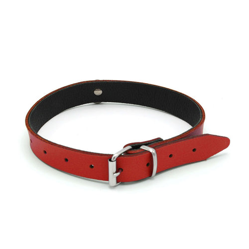 Leather collar