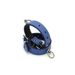 Leather restraints