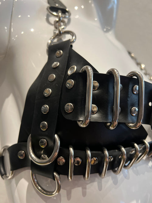 Latex Harness BH
