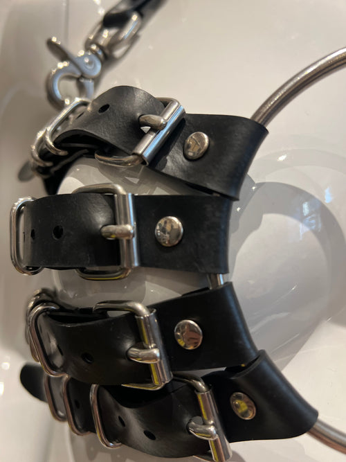 Harness BH mit Schnallen