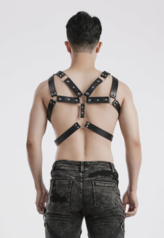 Kunstleder Harness