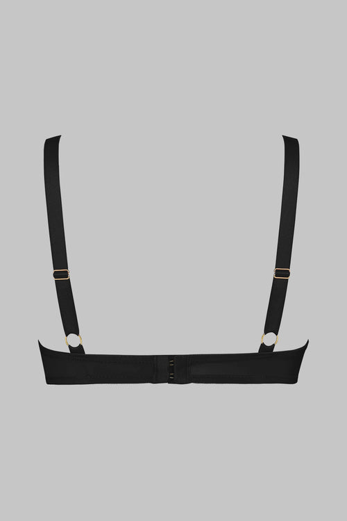 Harness BH