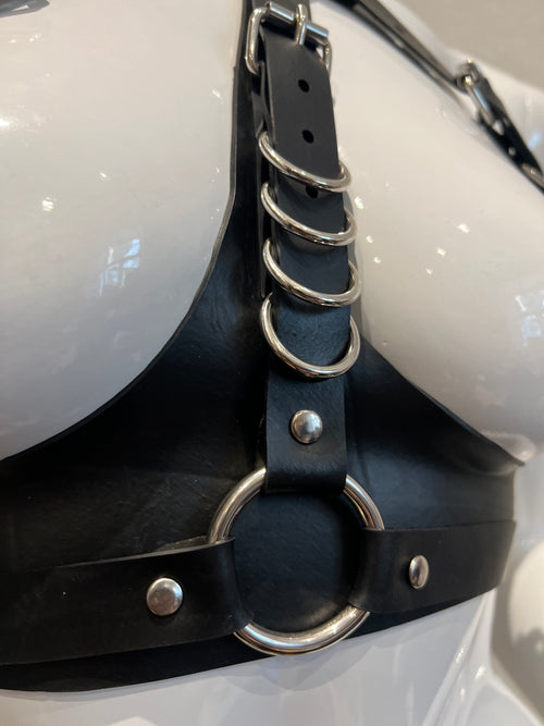 Harness BH mit Schnallen