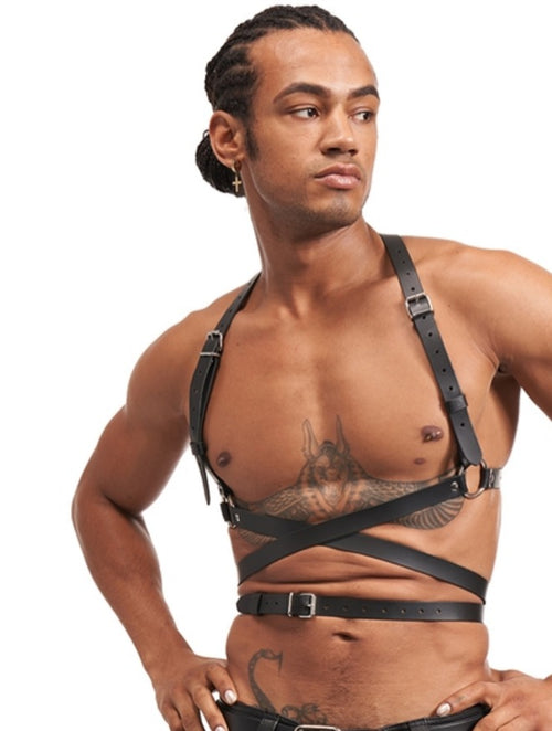 Leather harness