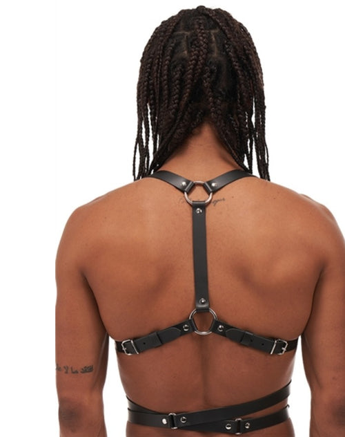 Leather harness