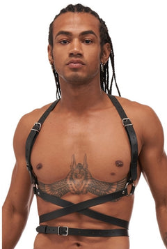 Leather harness