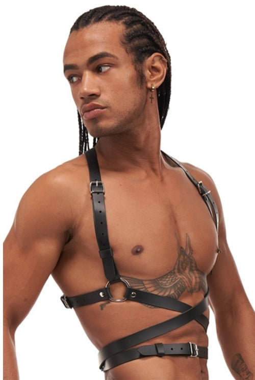 Leather harness