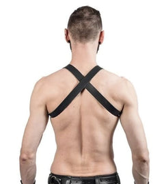 Leder Brust Harness