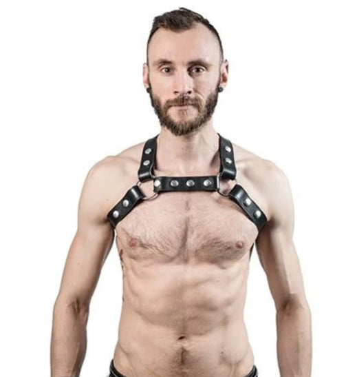 Leather Chest Harness